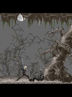 The Witcher