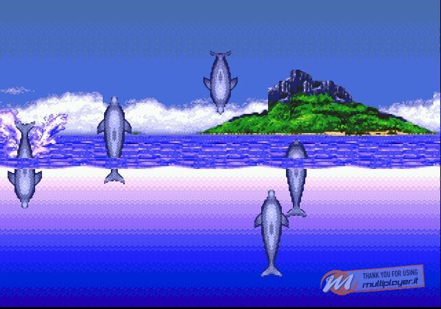 Ecco the Dolphin