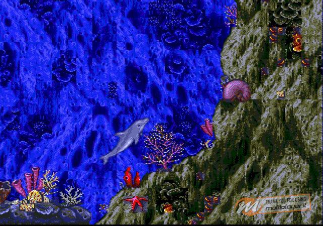 Ecco the Dolphin