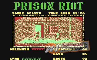 Prison Riot