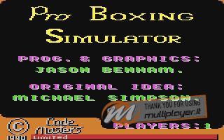 Pro Boxing Simulator