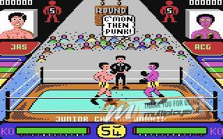 Pro Boxing Simulator