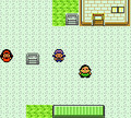 Pokémon Versione Cristallo