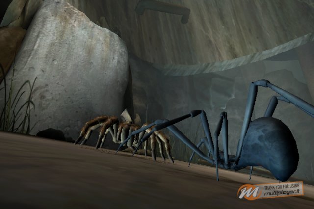 Deadly Creatures