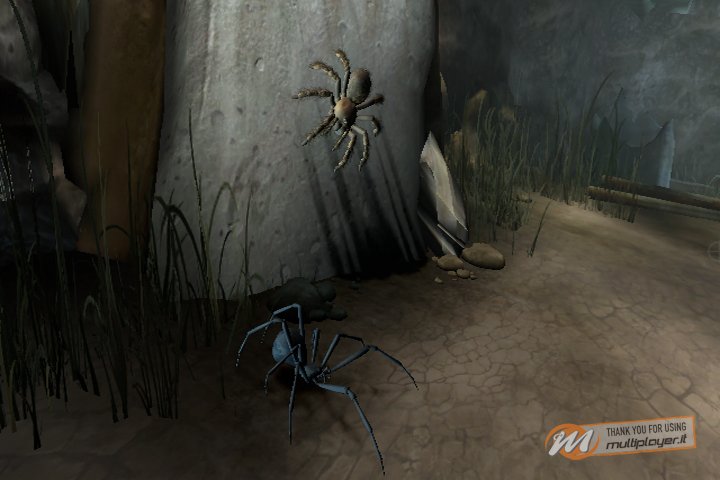 Deadly Creatures - Provato