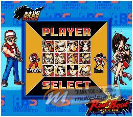 Real Bout Fatal Fury Special