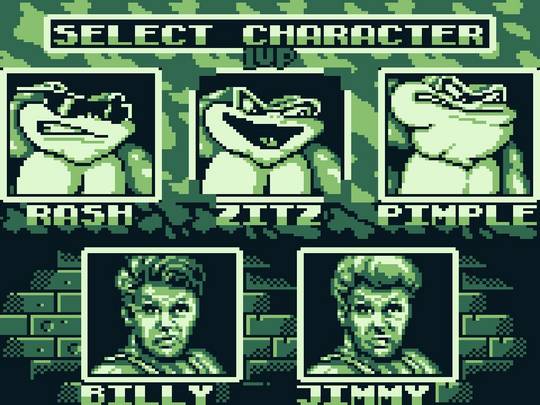 Battletoads & Double Dragon: The Ultimate Team