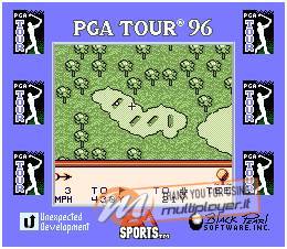 PGA Tour Golf '96
