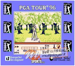 PGA Tour Golf '96