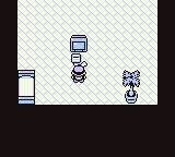 Pokémon Green