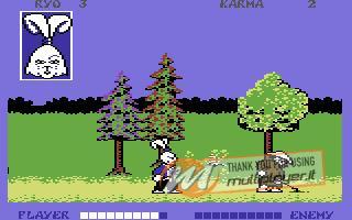 Samurai Warrior: The Battles of Usagi Yojimbo