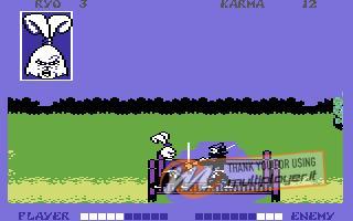 Samurai Warrior: The Battles of Usagi Yojimbo