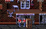 Ninja Gaiden