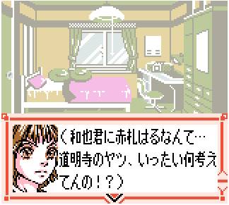 Hana Yori Dango: Another Love Story