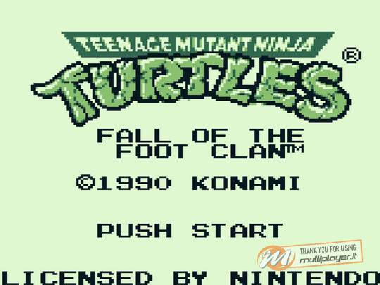 Teenage Mutant Ninja Turtles