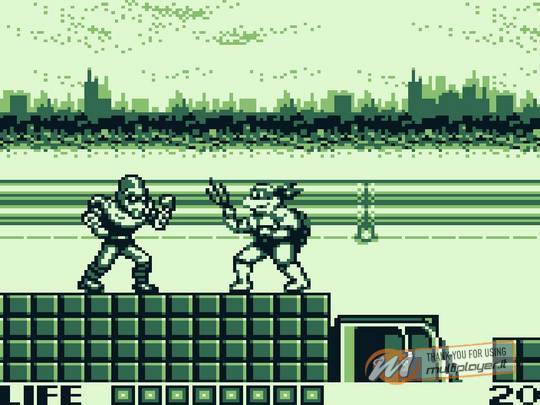 Teenage Mutant Ninja Turtles