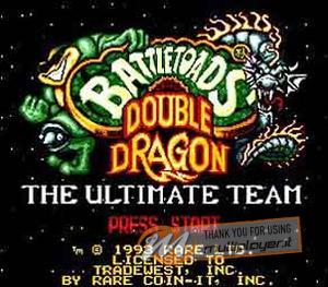 Battletoads & Double Dragon: The Ultimate Team