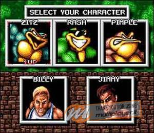 Battletoads & Double Dragon: The Ultimate Team