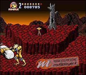 Battletoads in Battlemaniacs