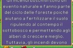 My Happy Planet - Recensione