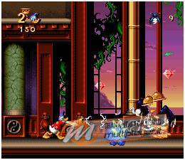 Donald Duck Starring in Maui Mallard