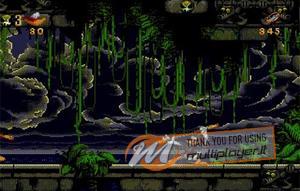 Donald Duck Starring in Maui Mallard