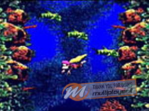 Donkey Kong Country 3: Dixie Kong's Double Trouble!