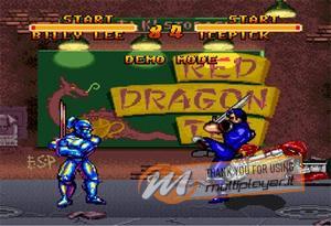 Double Dragon V: The Shadow Falls
