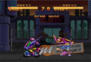 Double Dragon V: The Shadow Falls