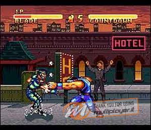 Double Dragon V: The Shadow Falls