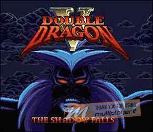 Double Dragon V: The Shadow Falls