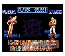 Fatal Fury Special