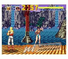 Fatal Fury Special
