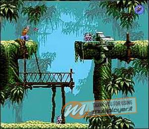 Flashback: The Quest for Identity