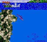 Ecco the Dolphin