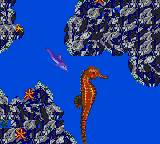 Ecco the Dolphin 2: The Tides of Time