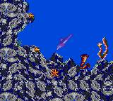 Ecco the Dolphin 2: The Tides of Time