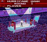 Evander 'Real Deal' Holyfield's Boxing