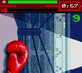 Evander 'Real Deal' Holyfield's Boxing