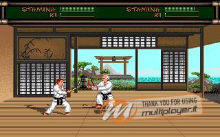 Budokan: The Martial Spirit