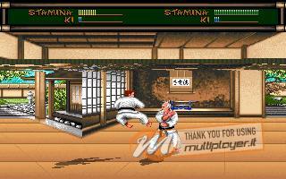 Budokan: The Martial Spirit