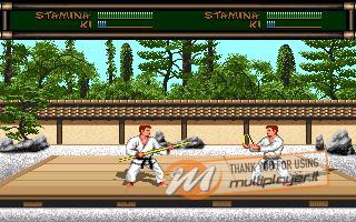 Budokan: The Martial Spirit