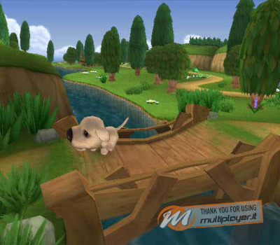 The Dog Island
