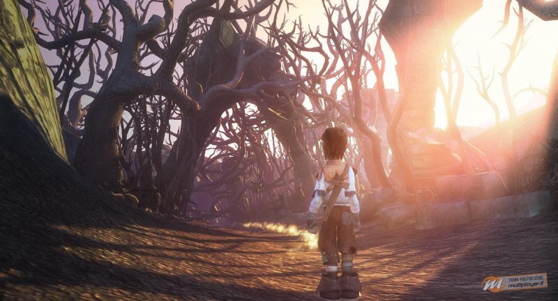 Fable 2 - Anteprima Fable 2 - Anteprima