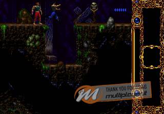 Blackthorne