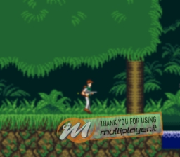 The Lost World: Jurassic Park