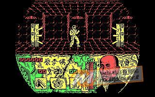 Choy-Lee-Fut Kung-Fu Warrior