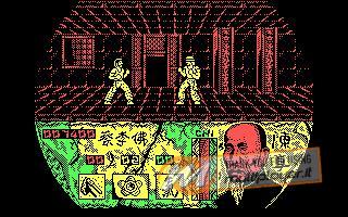 Choy-Lee-Fut Kung-Fu Warrior