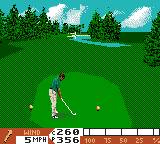 PGA Tour Golf '96