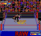 WWF Raw